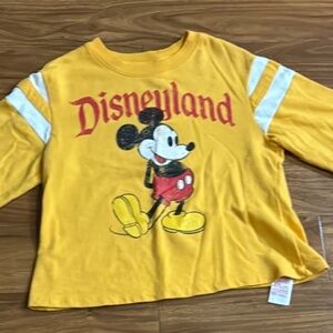 Disneyland Crop Sweater